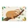 Sleeping Sloth Curled Tree Branch Green Leaf - Home Decor Gift for Sloth Lover Doormat - 3
