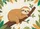 Sleeping Sloth Curled Tree Branch Green Leaf - Home Decor Gift for Sloth Lover Doormat - 7