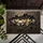 Six Realistic Kittens Cracked Earth Rupture - Cat Lover Home Decor Gift Doormat - 6