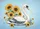 duiyfppz/products/6a58a975b46544bc547882ab/gallery/hJ__0e55Nh