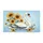 duiyfppz/products/6a58a975b46544bc547882ab/gallery/vds2Dv18sA
