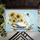 duiyfppz/products/6a58a975b46544bc547882ab/gallery/xGxqP1LFld