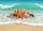 duiyfppz/products/6a58af2f69a7f2e64bab97d9/gallery/-PGTSDfqOk