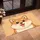 duiyfppz/products/6a58afa242f4f0213a5d5d0c/gallery/23fBHS9BT-