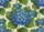 duiyfppz/products/6a58afb542f4f0114d5d5d34/gallery/6kpt-rFAZH