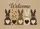 duiyfppz/products/6a58b7307577faea0b85fa30/gallery/hIlB2_kO3Q
