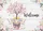 duiyfppz/products/6a58b7f7b6d4075318e01038/gallery/sjFlOq7tyw