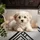 duiyfppz/products/6a58bd6580e30fe656899688/gallery/6yr4oPTuiz