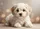 duiyfppz/products/6a58bd6580e30fe656899688/gallery/QEbGXVfwcH