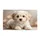 duiyfppz/products/6a58bd6580e30fe656899688/gallery/cEFoWxNoH2