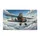 duiyfppz/products/6a58beb1f0c88451ead0ccb0/gallery/xgIyLMYmae