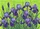 duiyfppz/products/6a58bf082d13db4c3a614881/gallery/hlNWgBQpye
