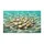 duiyfppz/products/6a58c5883756264cb1828fa6/gallery/LruUF9RbpU