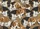 duiyfppz/products/6a58cfb780e30f6a6589aac5/gallery/qSHme0nhG6