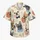 duiyfppz/products/6a5a02770b34237249a32a1f/gallery/zJ0lKfR2pN