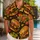 duiyfppz/products/6a5a0c25974913bec1e823de/gallery/oVHJ2g8gCw