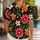 duiyfppz/products/6a5a145baf4925c18595c767/gallery/VCb6W06gxR