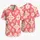 duiyfppz/products/6a5a1bdd18b8a428a2b25db0/gallery/T20x_QUhlQ