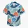 duiyfppz/products/6a5a1e1f04fd7fe1a4a628d7/gallery/VuvTY4vjoc