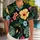 duiyfppz/products/6a5a302123e6e61ebc0d73d7/gallery/YSE3XBqTk9