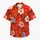 duiyfppz/products/6a5a3c62e9efe8814c03b78d/gallery/43snP0IVXO
