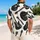 duiyfppz/products/6a5a47e1b3f03e1e5877b2dc/gallery/lPCjU7xAxy