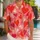 duiyfppz/products/6a5a537519125980f48e5f25/gallery/3GNvZa5hXW
