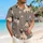 duiyfppz/products/6a5a551819125994f18e6133/gallery/rfmY2u4ntc