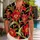 duiyfppz/products/6a5a6089191259ef928e6be2/gallery/0NRmPylsuv