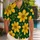 duiyfppz/products/6a5b5fe796d47ac910876d42/gallery/Lps_-Drnp-