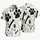 duiyfppz/products/6a5b60efbfe74c394cb6e1a0/gallery/jLN0S_EFhY