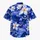 duiyfppz/products/6a5b6131bfe74c38f3b6e2e0/gallery/Ra_qhvrNh_