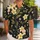 Cream Tropical Flowers on Charcoal for Resort Vacations and Summer Beach Getaways Hawaiian Shirt - 1