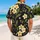 Cream Tropical Flowers on Charcoal for Resort Vacations and Summer Beach Getaways Hawaiian Shirt - 2