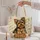 duiyfppz/products/6a5da7daaf492540ef9aa49e/gallery/DgVtfgZaO