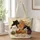13x16-1-inches/OIs8dyXeZI