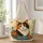 13x16-1-inches/b5TerN23CU