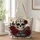 13x16-1-inches/ggv5MLDOXM