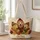 13x16-1-inches/bFxkE1QJ5e