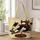 13x16-1-inches/91YPFtlFx-