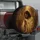 no-hole/kjXH6aWTD_