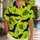 duiyfppz/products/6a60321afbe7b142f3f3cb02/gallery/clbz8gbDlf