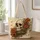 13x16-1-inches/Ss13s76a-o