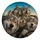 Five Wolves Road Trip Selfie Outdoor Adventure Gift For Wolf Lovers And Campers Everywhere Spare Tire Cover - 4