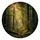Sunlit Forest Path With Golden Morning Rays For Outdoor Adventure Travel SUV Drivers Spare Tire Cover - 4