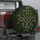 no-hole/xM492KZNzt