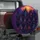 no-hole/plsG854ECT