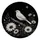 no-hole/PpXENt2JFs