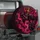 no-hole/X7ypY15gQf