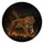 no-hole/AgirdR5JC-